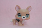 Authentic Littlest Pet Shop LPS